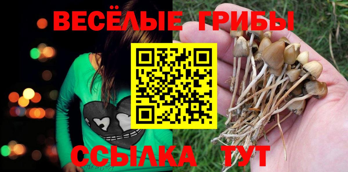 Галлюциногенные грибы ЛСД  Галлюциногенные грибы мухоморы  Северск  Вход с VPN 